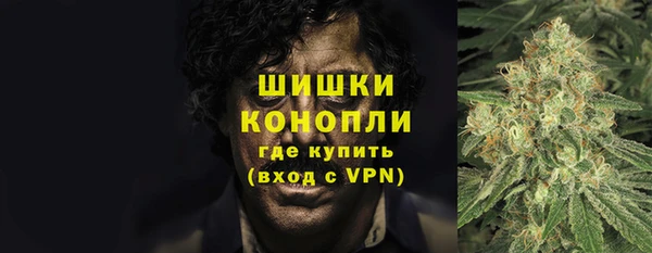 ПСИЛОЦИБИНОВЫЕ ГРИБЫ Балахна