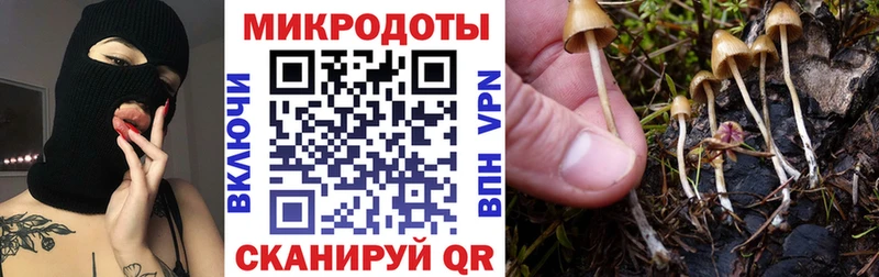 Галлюциногенные грибы ЛСД Усолье